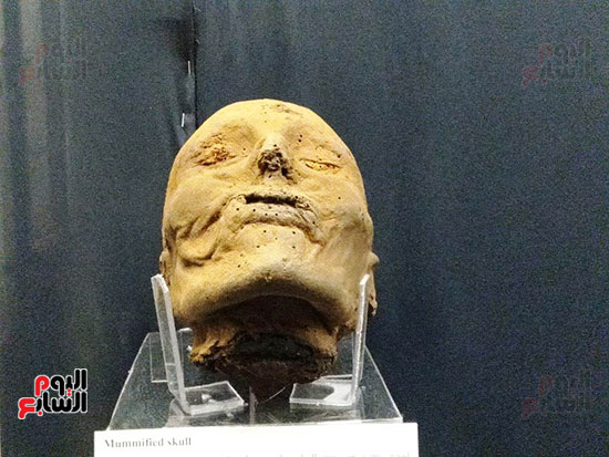 افتتاح معرض إعادة اكتشاف الموتى بالمتحف المصرى -  (20)
