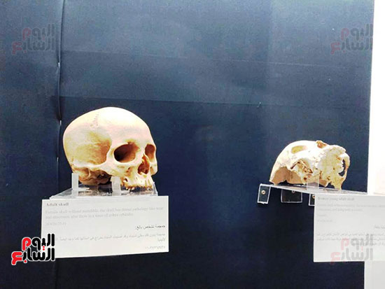 إعادة اكتشاف الموتى بالمتحف المصرى (1)
