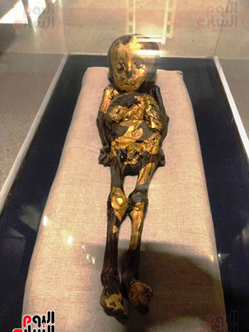 إعادة اكتشاف الموتى بالمتحف المصرى (28)