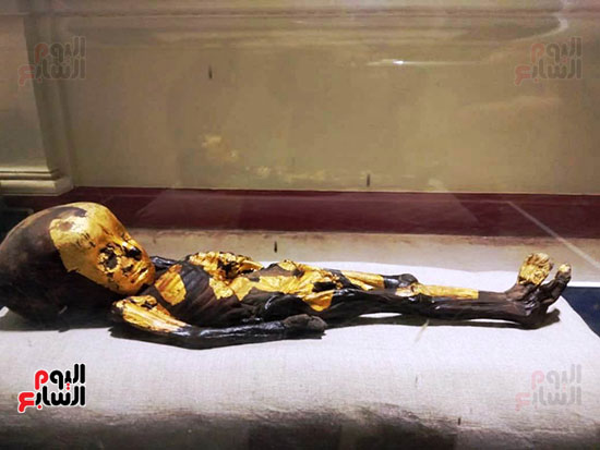 إعادة اكتشاف الموتى بالمتحف المصرى (29)