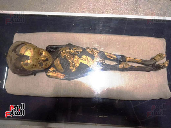 إعادة اكتشاف الموتى بالمتحف المصرى (30)