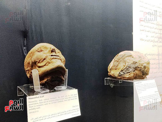 إعادة اكتشاف الموتى بالمتحف المصرى (4)