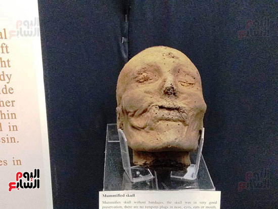 إعادة اكتشاف الموتى بالمتحف المصرى (10)