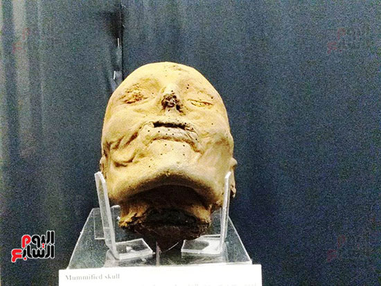 إعادة اكتشاف الموتى بالمتحف المصرى (20)