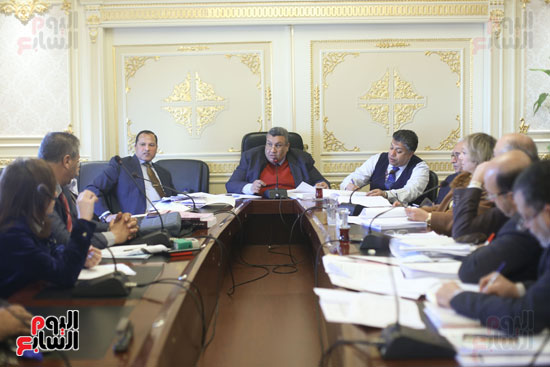 لجنة الخطة والموازنة بمجلس النواب (3)