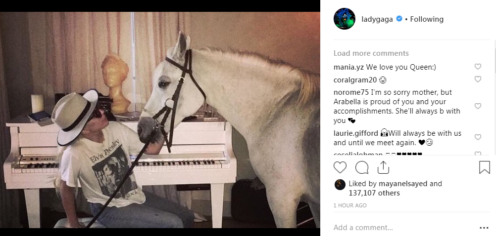 ليدي جاجا مع حصانها