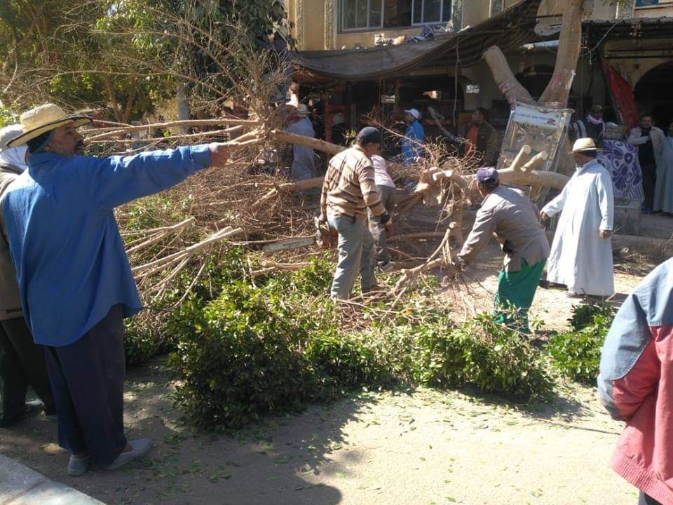 رئيس مركز الداخلة يقود حملة نظافة وقص وتقليم الأشجار بمدينة موط (4)