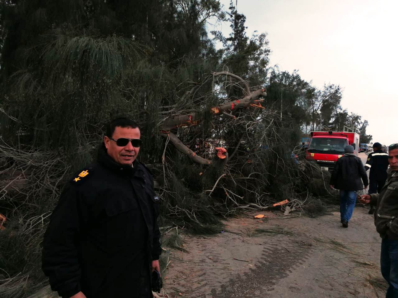 سقوط شجرة عملاقة نتيجة انفجار ماسورة مياه أمام مستشفى بالمحلة (1)