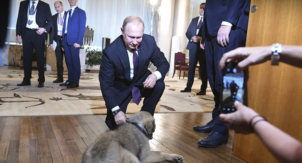 بوتين يتلقى هديته من الرئيس الصربى