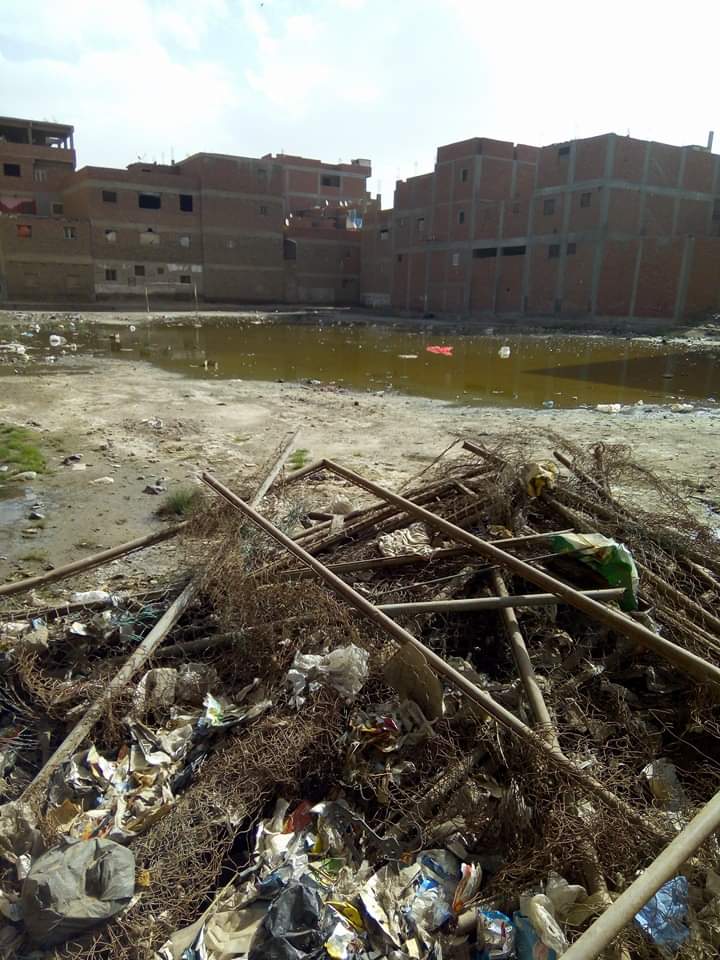 غرق ملعب قرية الشوبك بالقليوبية بمياه الصرف الصحى والقمامة (1)
