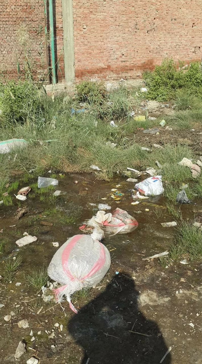 غرق ملعب قرية الشوبك بالقليوبية بمياه الصرف الصحى والقمامة (3)