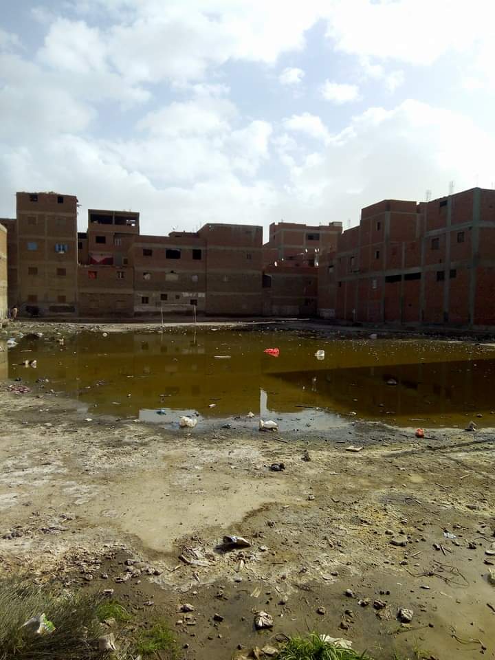 غرق ملعب قرية الشوبك بالقليوبية بمياه الصرف الصحى والقمامة (5)