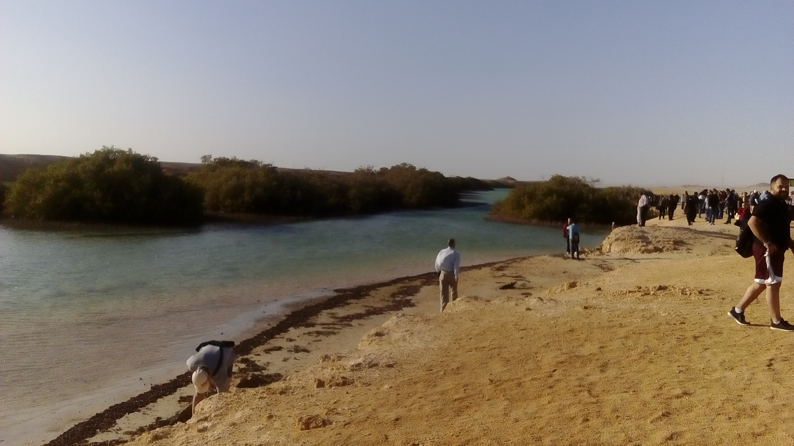 1448161-رأس-محمد-(1)