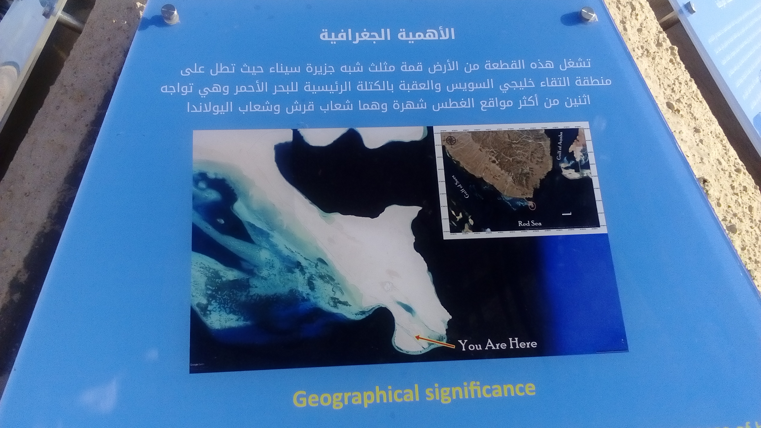 1536481-رأس-محمد-(6)