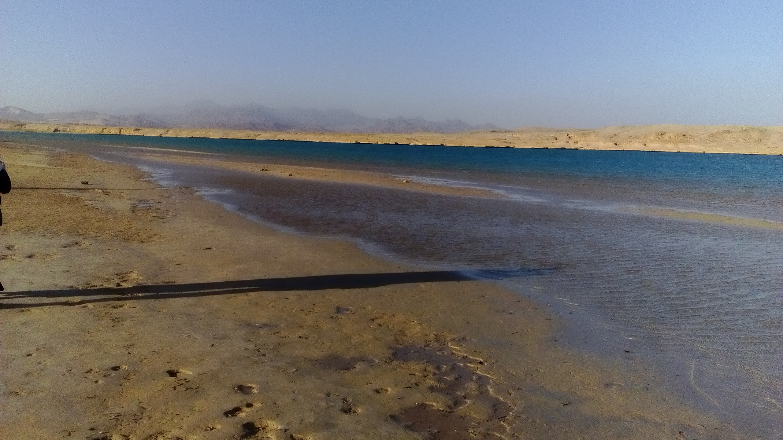 1601249-رأس-محمد-(14)