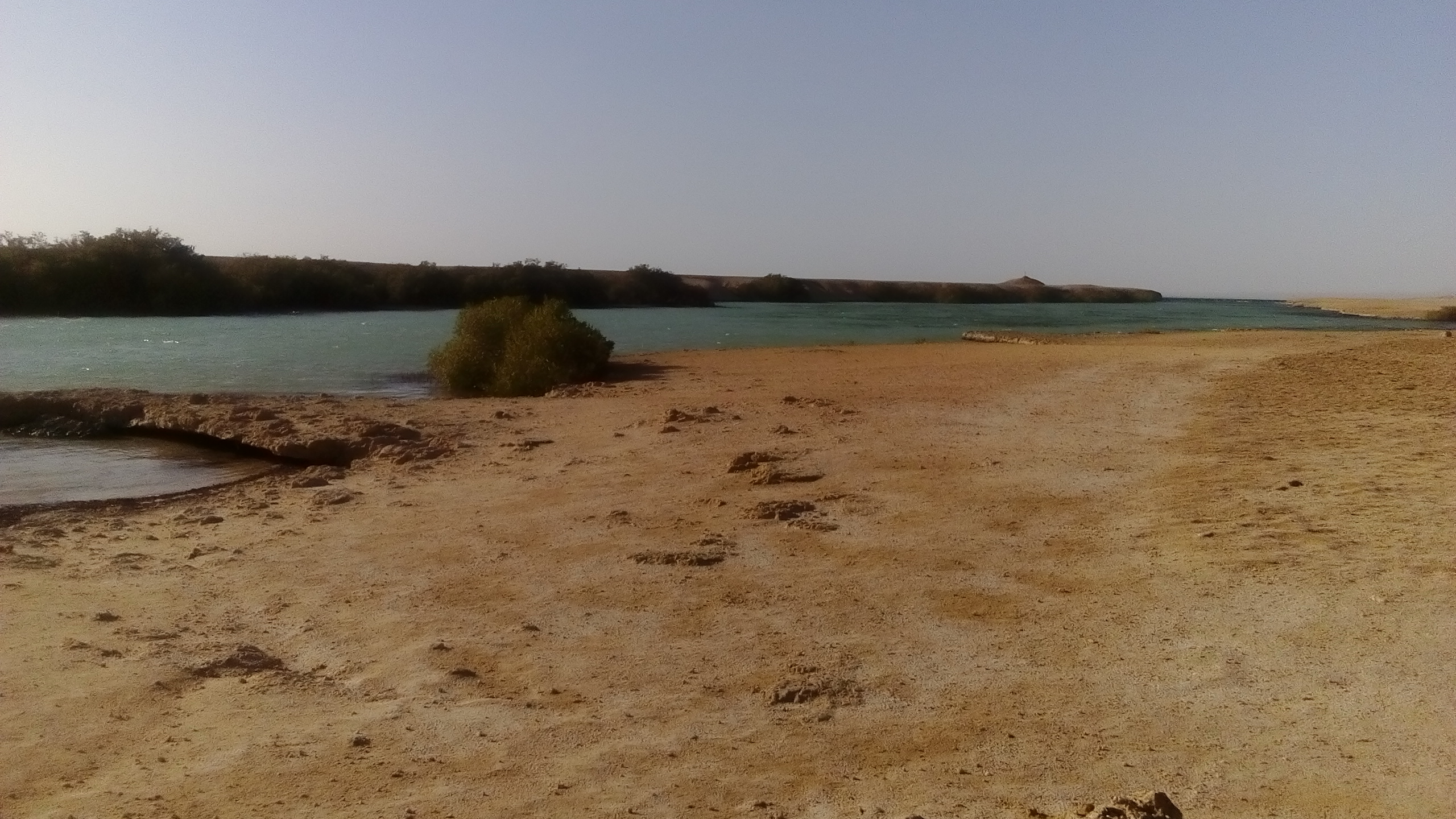 1615329-رأس-محمد-(22)