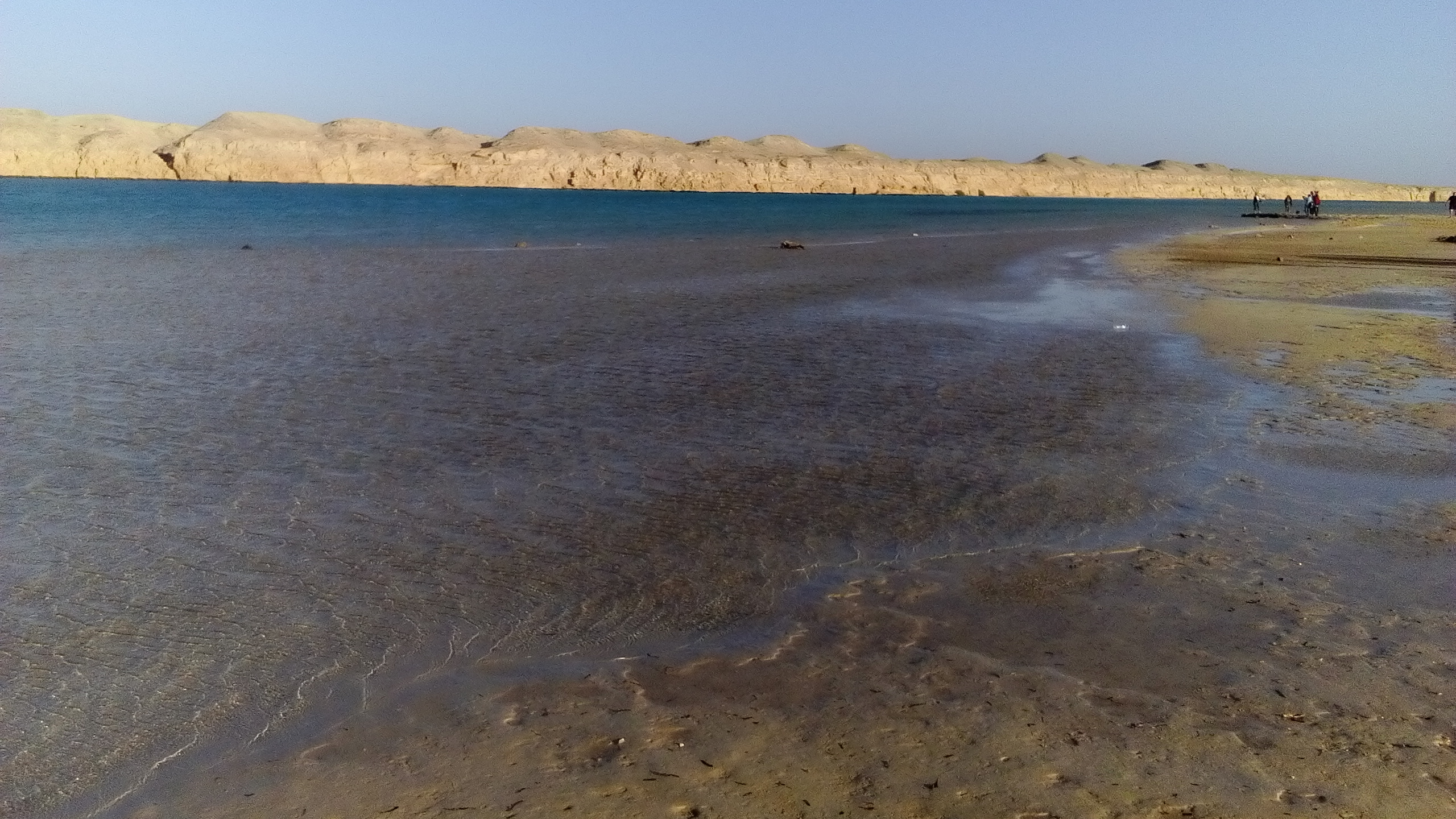 1748065-رأس-محمد-(13)
