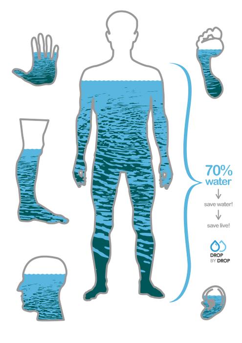 اعرف جسمك كم تشكل نسبة المياه فى جسم الإنسان وما وظيفتها اليوم