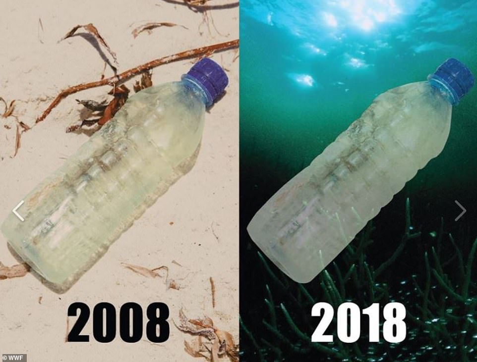 مخاطر القاء البلاستيك فى المياه