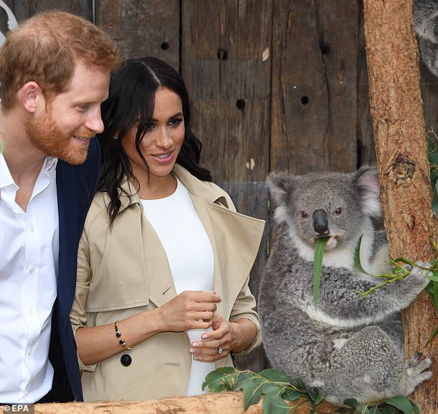 8966822-6621717-Koala_ty_time_The_Duke_and_Duchess_of_Sussex_meet_Ruby_a_mother_-a-10_1548393098916