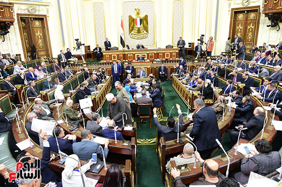 مجلس النواب (10)