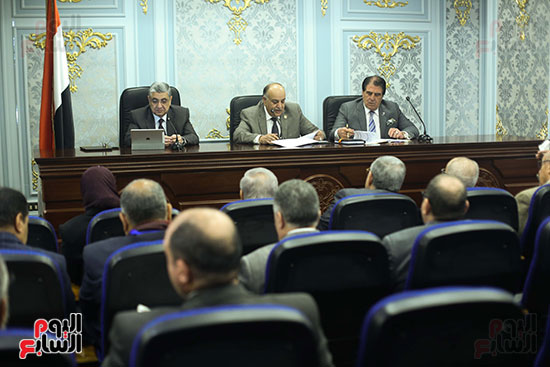 اجتماع لجنة الشئون العربية بمجلس النواب  (1)