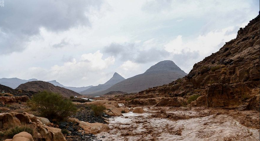 سقوط الأمطار فى تبوك