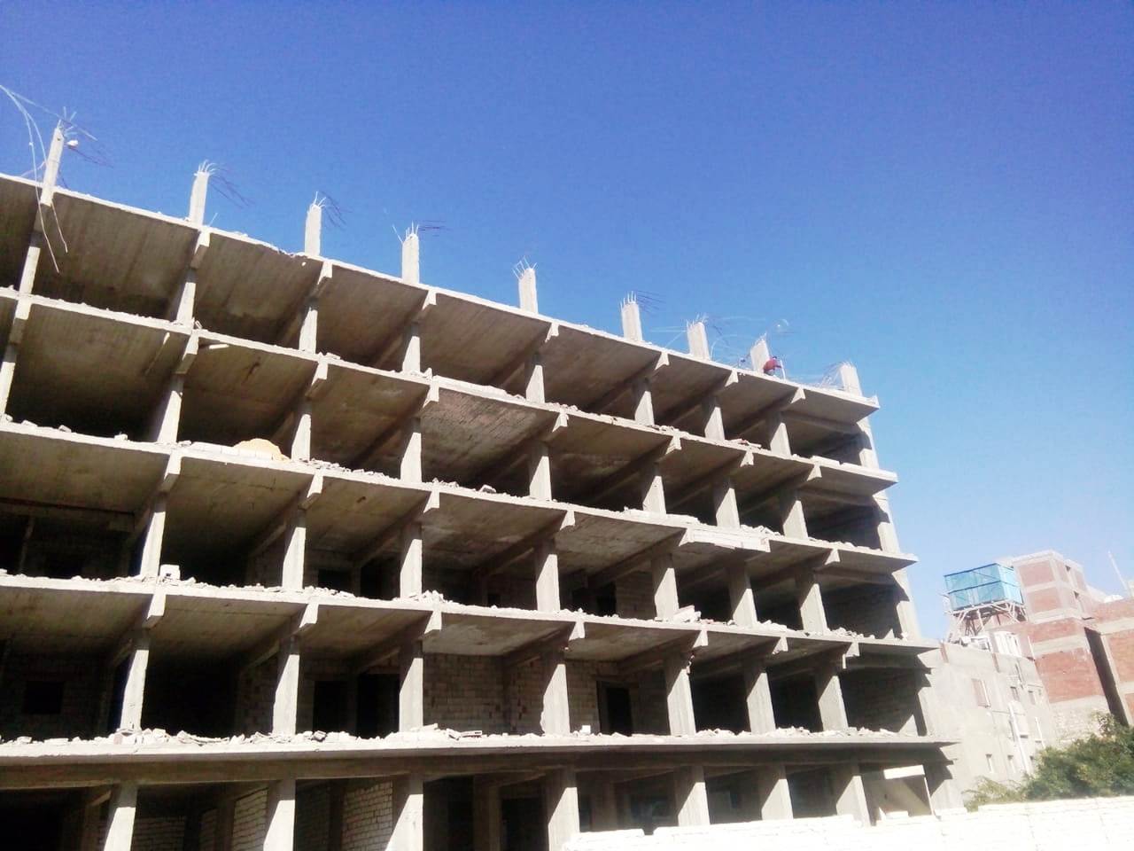 حملات الازالة بالاسكندرية  (6)