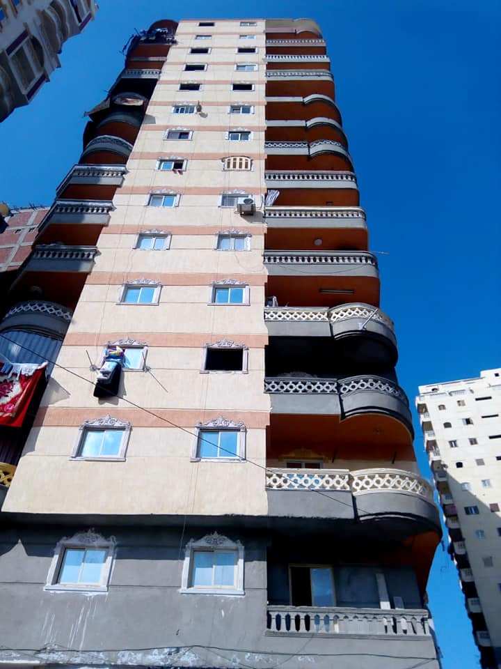 حملات الازالة بالاسكندرية  (10)