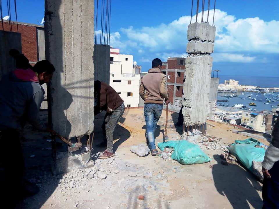 حملات الازالة بالاسكندرية  (11)