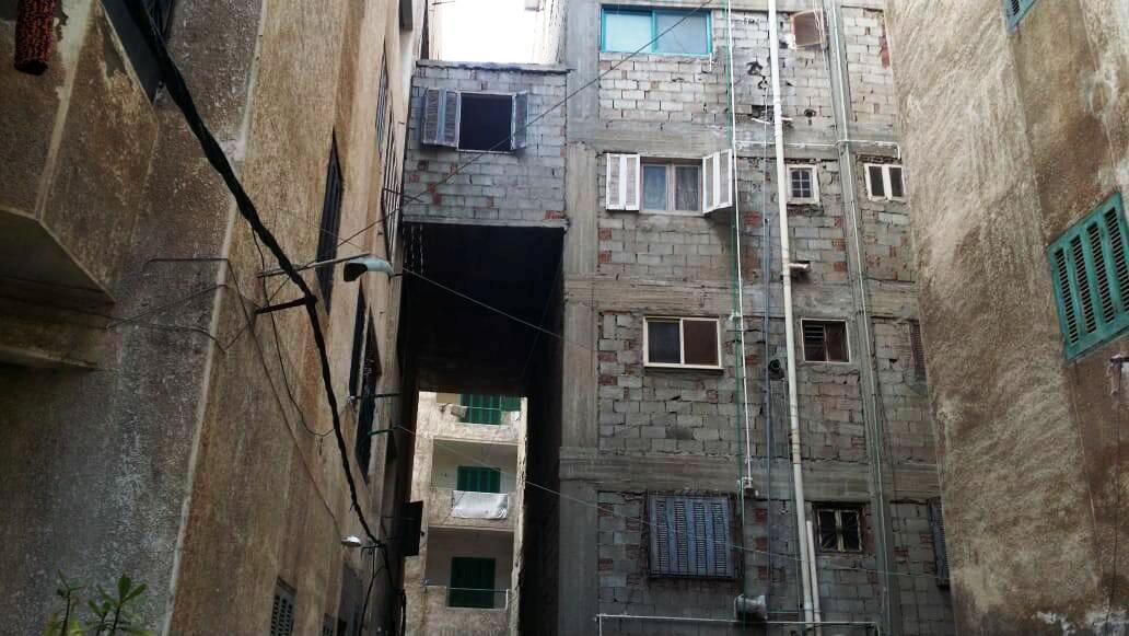 حملات الازالة بالاسكندرية  (12)