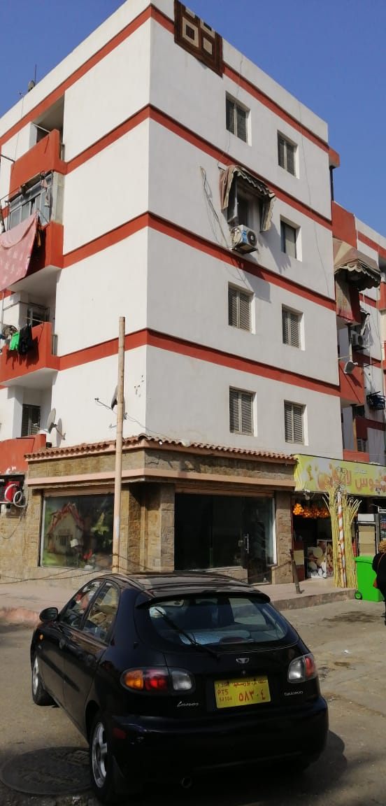 مبادرة طلاء المنازل فى بورسعيد (3)