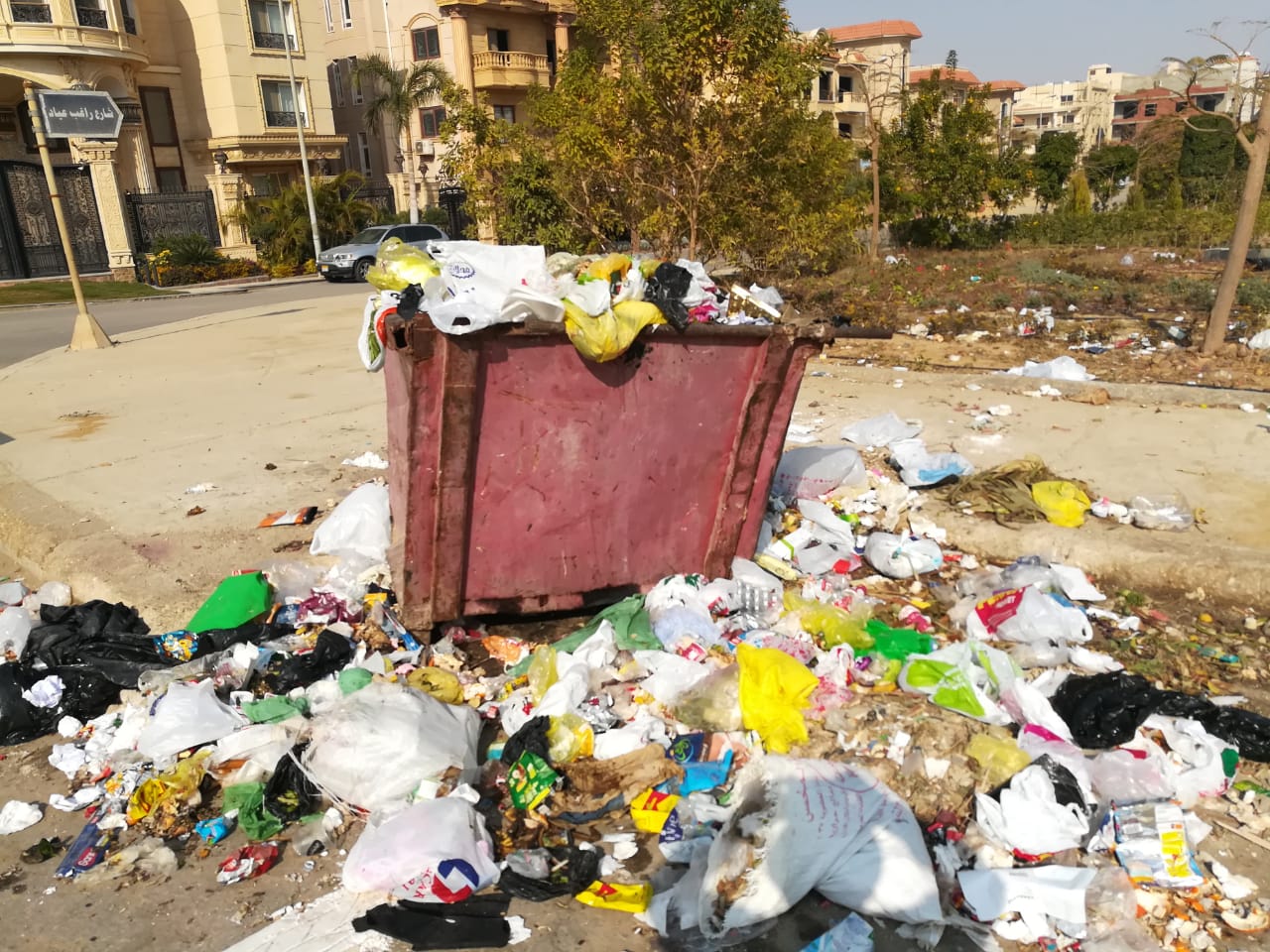 النرجس3 (2)