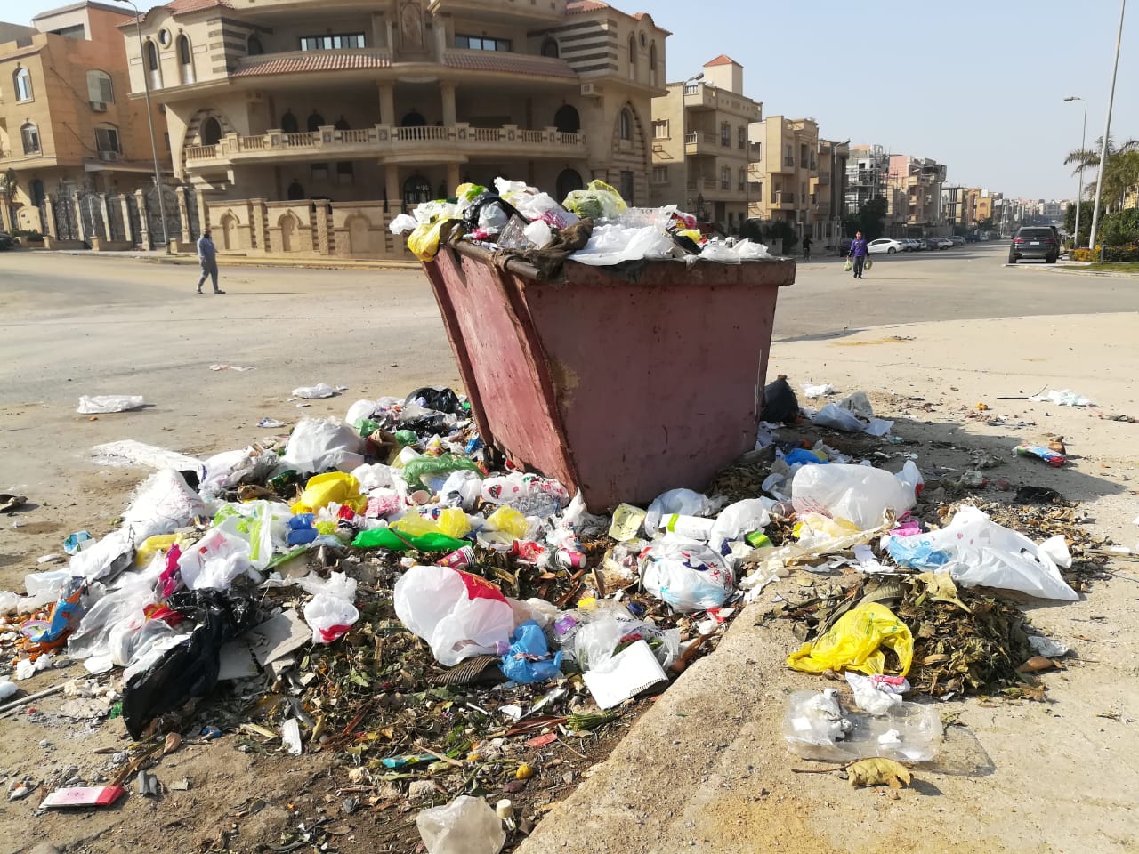 النرجس (3)