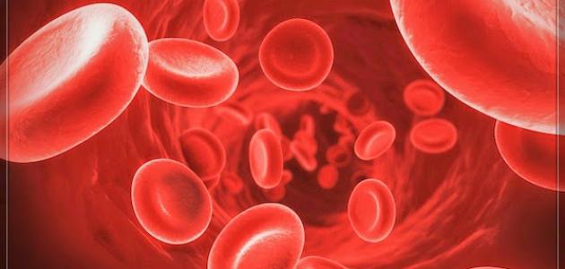 إنتاج خلايا دم جديدة