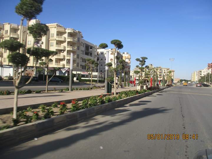 شوارع البحر الأحمر (5)