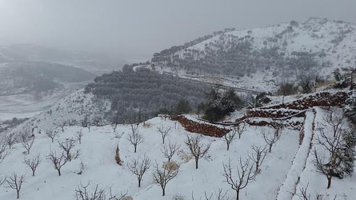 العاصفة الثلجية تضرب بلاد الشام  (1)