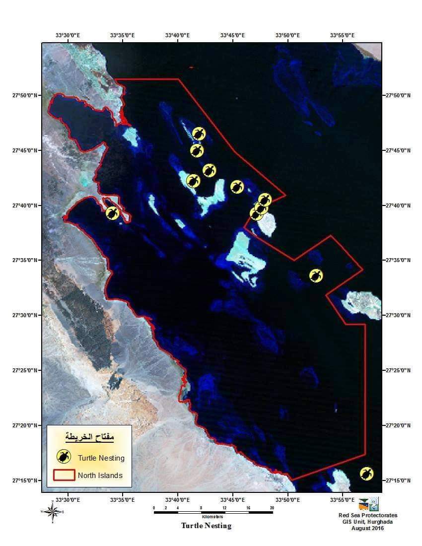 10- خريطة تواجد السلاحف بالجزر البحرية