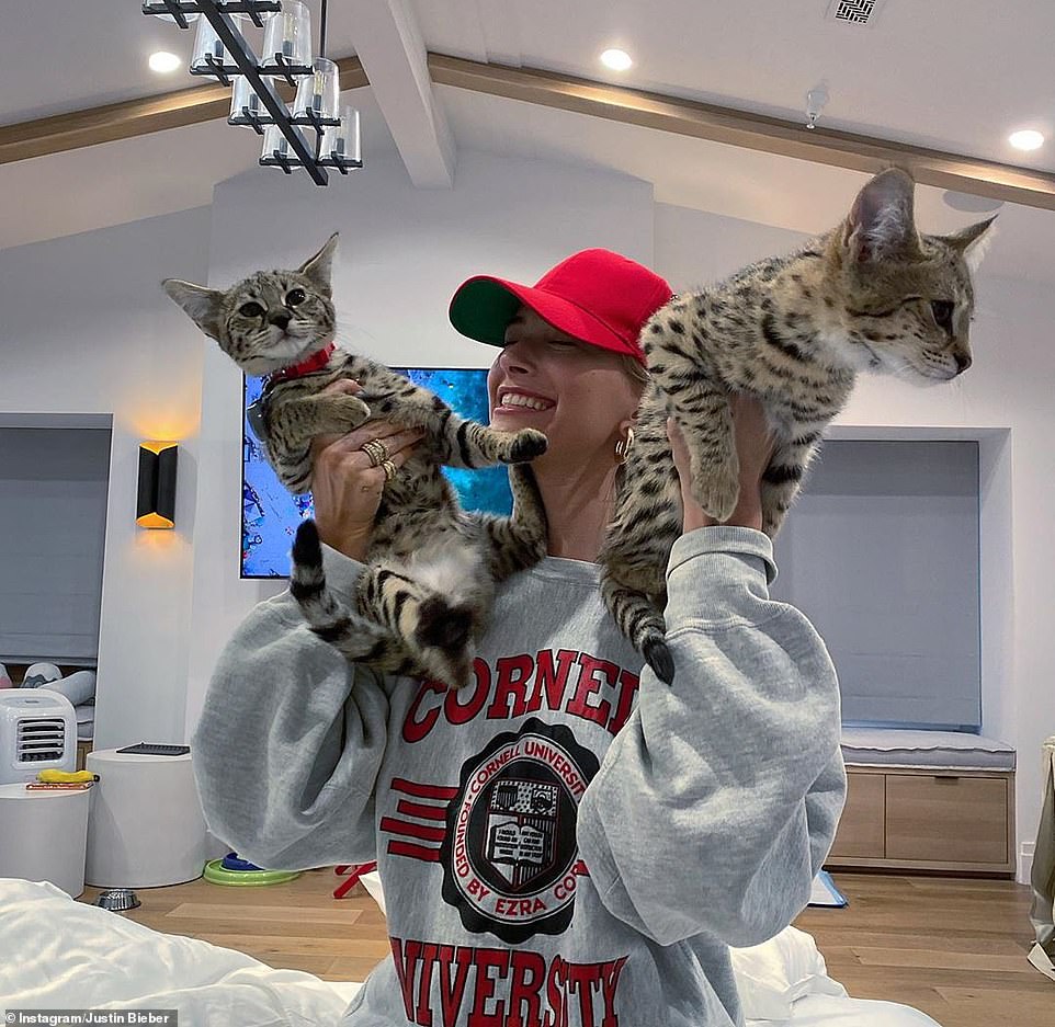 هيلى بيبر مع القطط