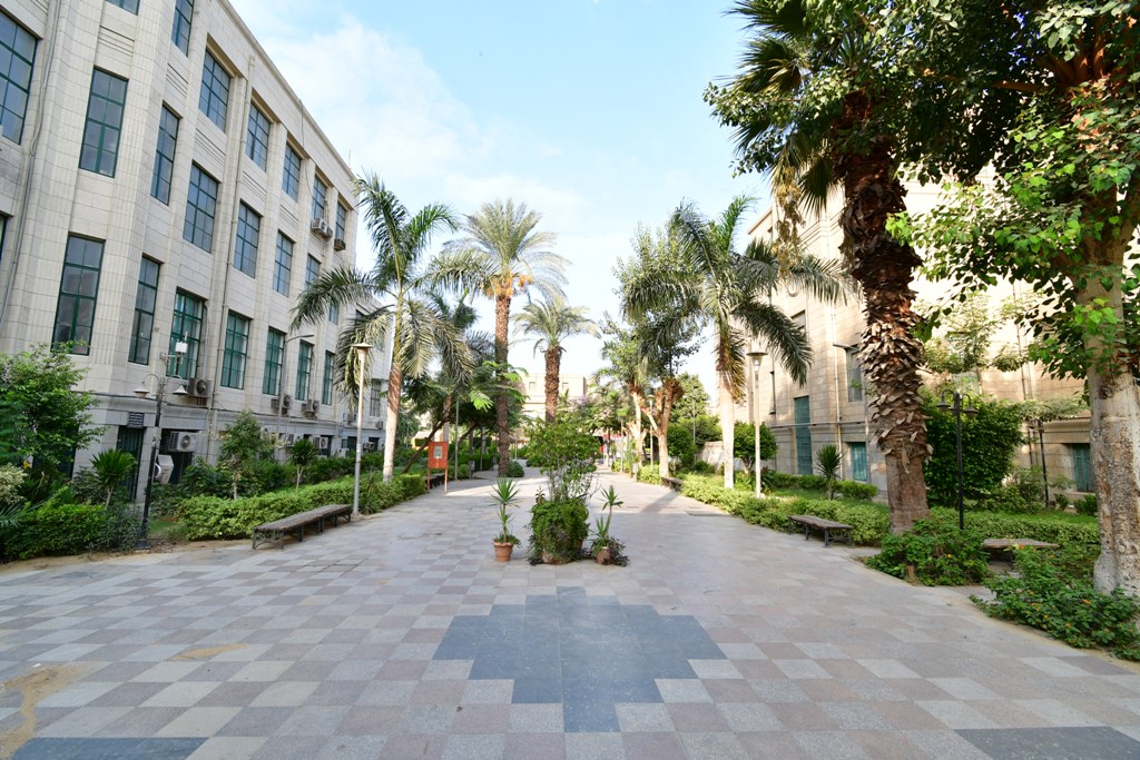 جامعة القاهرة تنهي المرحلة الثالثة من تطوير الحرم الجامعي (4)