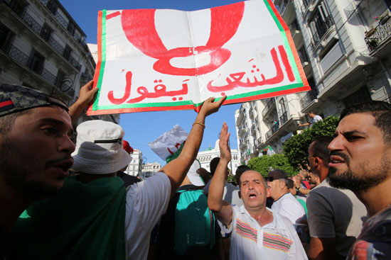 الاحتجاجات فى الجزائر