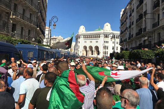 متظاهرو الجزائر