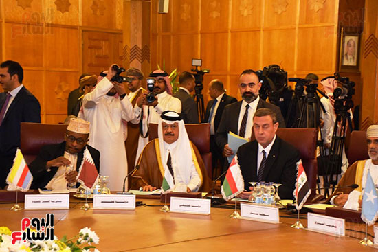 جامعة الدول العربية (11)