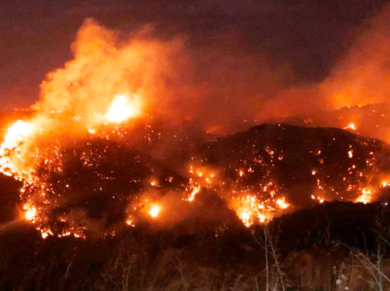 الحرائق فى لبنان