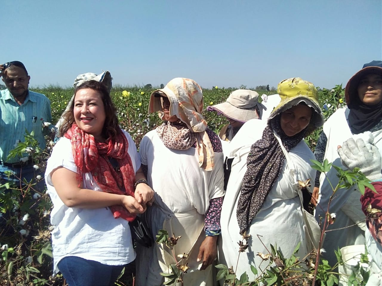مزارعات كفر الشيخ يستقبلن وفد اليونيدو لإنتاج قطن أفضل (17)