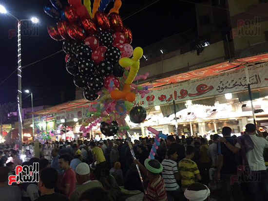 التوافد-على-شوارع-طنطا-للاحتفال-بمولد-السيد-البدوى-(6)