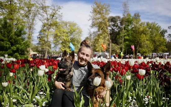 يلتقط صورة مع كلبيه وسط الزهور