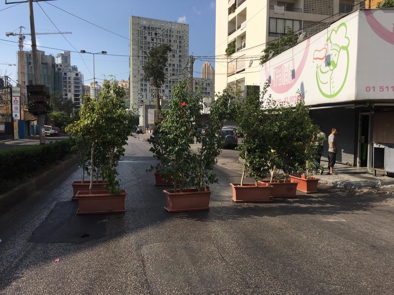 قطع الطريق بالنباتات قطع الطريق بالنباتات