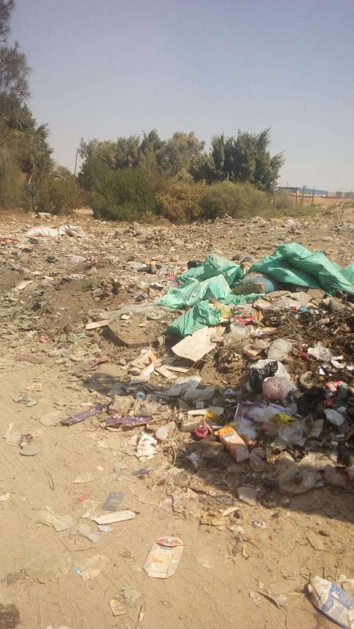 القمامة  شارع محمد فريد
