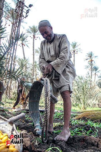 عبد الله يمسك بالمطلعة